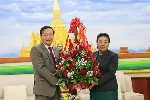 Vietnamese Ambassador congratulates Laos on Party founding anniversary 