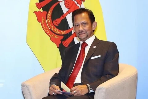 Brunei Sultan’s Vietnam visit to enhance all-round cooperation