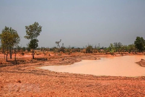 Over 67,160 ha of land threatened by drought, saline intrusion