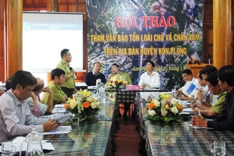 Workshop talks conservation of rare langur in Kon Tum 