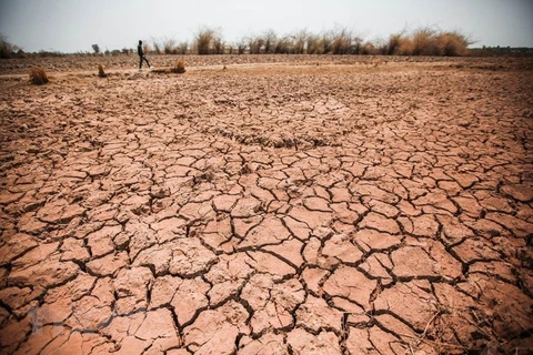 Central Highlands province struggles with prolonged drought