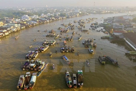 Mekong Delta steps up tourism development