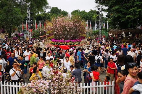 Japanese cherry blossom festival extended for one day
