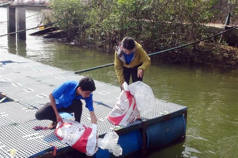 Ba Ria-Vung Tau releases breeding shrimp, fish into nature