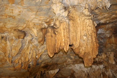 Cave complex in Dien Bien province named national relic site