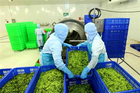 An Giang’s export staples enjoy high growth in Q1