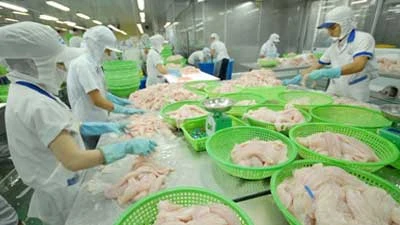 Vietnam's tra fish exports to UK up almost 70 percent in value