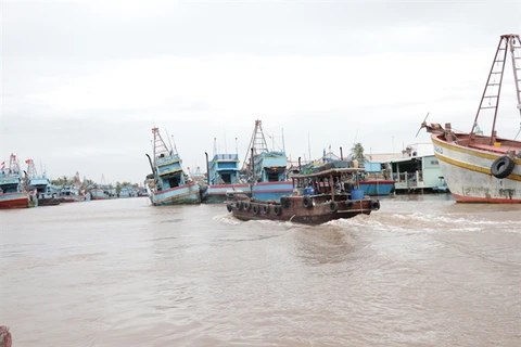 Ben Tre eyes sustainable development of marine economy