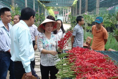 Rural districts in HCM City to develop agri-tourism