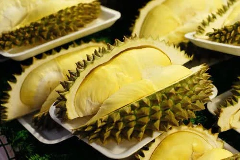 Durian, mango festivals in Chanthaburi, Ratchaburi