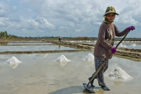 Cambodia may face salt shortage this year