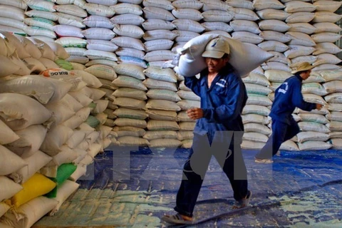 Cambodia’s rice exports to China rise 45.6 pct in two months