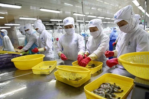 Mitsui & Co invests 155 million USD in Vietnamese seafood company 