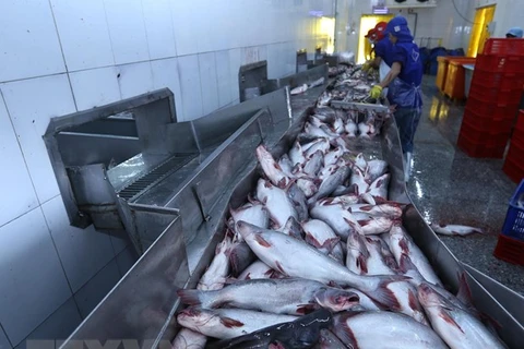 Tra fish shipments to US, China fall 