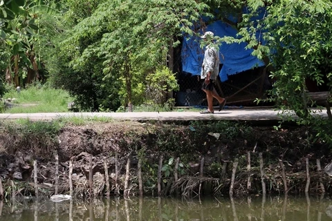 River erosion becomes dangerous in Kien Giang