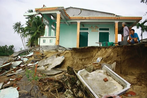 Quang Ngai calls for more assistance to curb coastal erosion