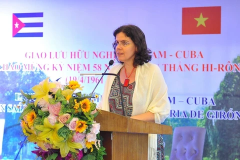 Cuba welcomes Vietnamese investors: ambassador 