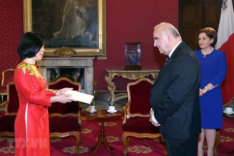 Vietnam wants to promote relations with Malta: Ambassador