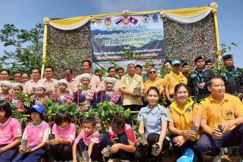Thailand-Laos forest planting activity held