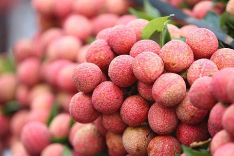 Thanh Ha litchi festival kicks off in Hai Duong province