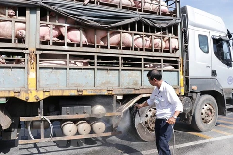 African swine fever continues to spread