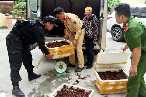 Deputy PM asks for investigation on mass sale of red-claw crawfish