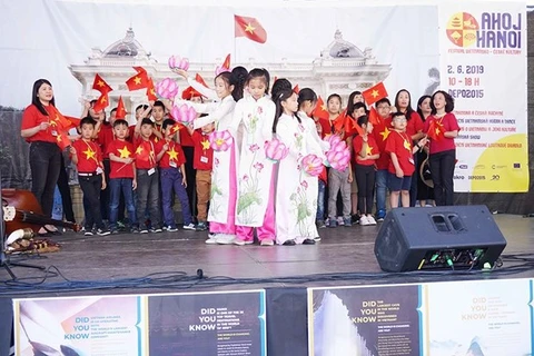 Festival promotes Vietnam-Czech culture exchange 