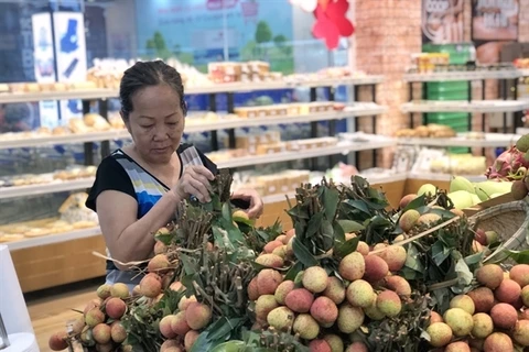 Saigon Co.op takes northern lychees around the country
