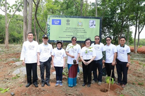 Thai Forest Department, Indian Embassy plant trees commemorating Gandhi