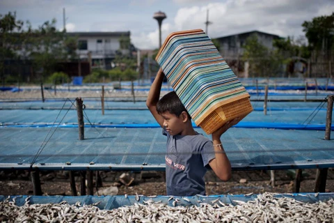 Thailand marks World Day against Child Labour