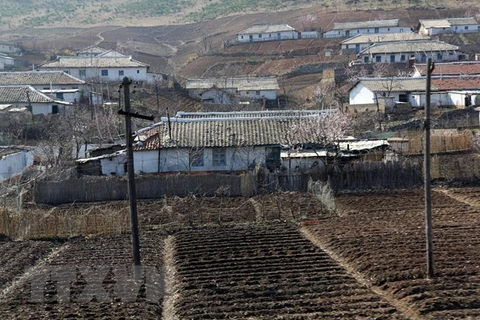 Vietnam helps DPRK natural disaster victims with 5,000 tons of rice