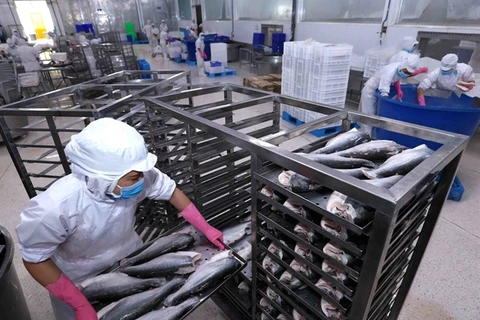 Tra fish industry faces challenges in production and export