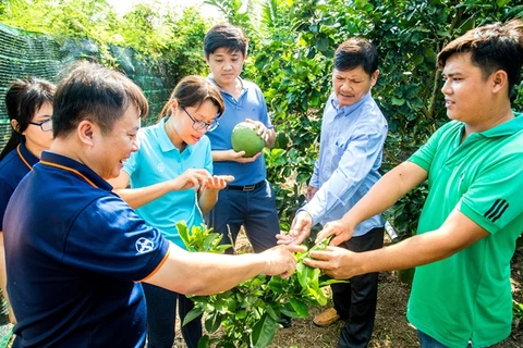 Bayer Agricademy trains fruit, coffee farmers