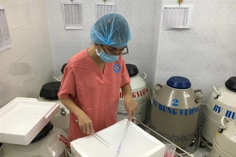 HCM City’s public hospital allowed to offer surrogacy procedure