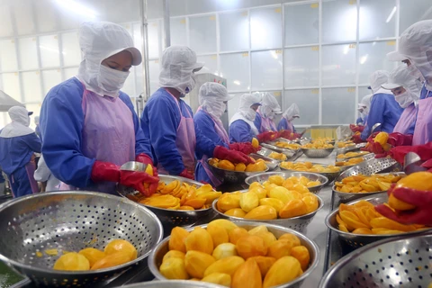 Vietnamese firms urged to make best use of CPTPP