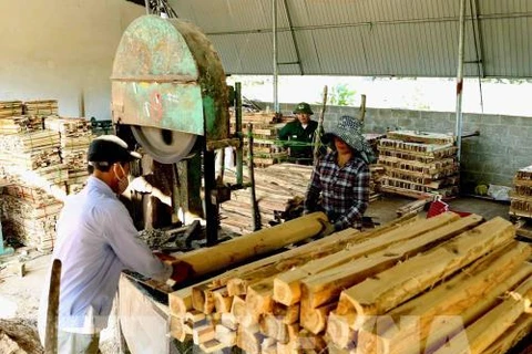 Forestry product exports jump nearly 20 percent in year’s first half