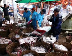 Quang Tri works hard to fight illegal fishing 