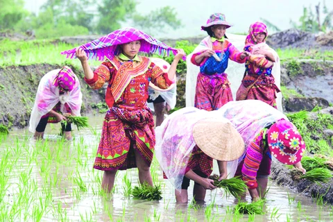 Ha Giang's remote commune to develop eco-toursim