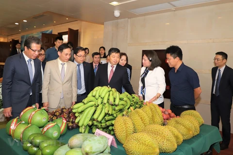 Forum aims to bolster Vietnam’s ties with southern China localities