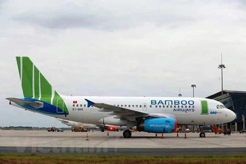 Bamboo Airways to start construction of aviation training centre this month