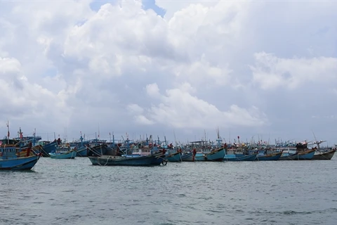 Binh Thuan province sees jump in seafood catch