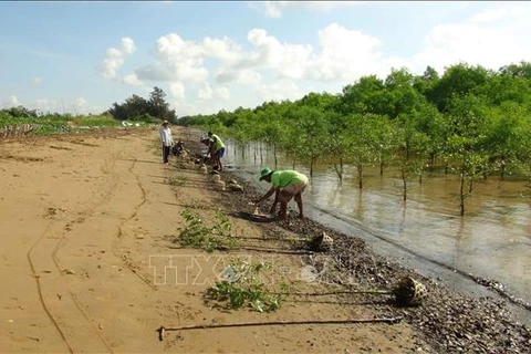 Tra Vinh spends 62 billion VND to support Khmer community