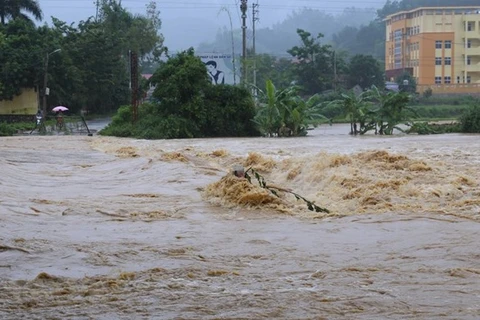 Thanh Hoa strives to be more disaster resilient this rainy season