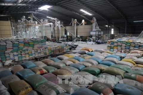 Kien Giang’s exports fall short of expectation