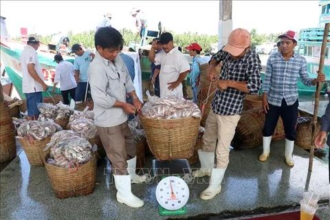 Kien Giang steps up efforts against IUU fishing 