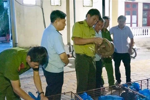 Couple arrested on suspicion of illegally transporting 150 kg of wild animals