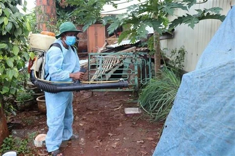 Hanoi records over 1,600 dengue fever cases 
