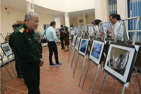 Southeastern Photography Festival opens in Lam Dong province