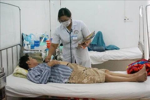 Dak Lak province reports another dengue fever death