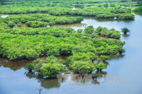Government issues decree on wetlands conservation